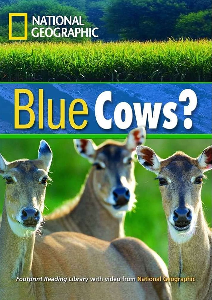 BLUE COWS? (INTER) +DVD