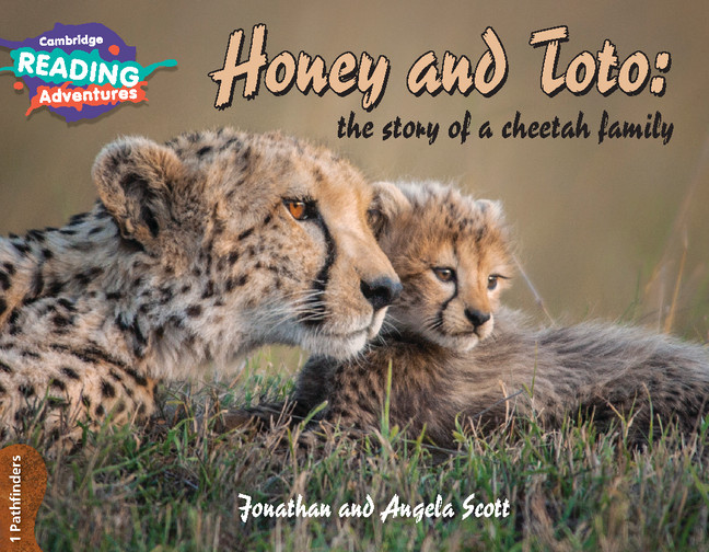 CAMBRIDGE READING ADVENTURES HONEY & TOTO: THE STORY OF A CHEETAH FAMILY 1 PATHFINDERS