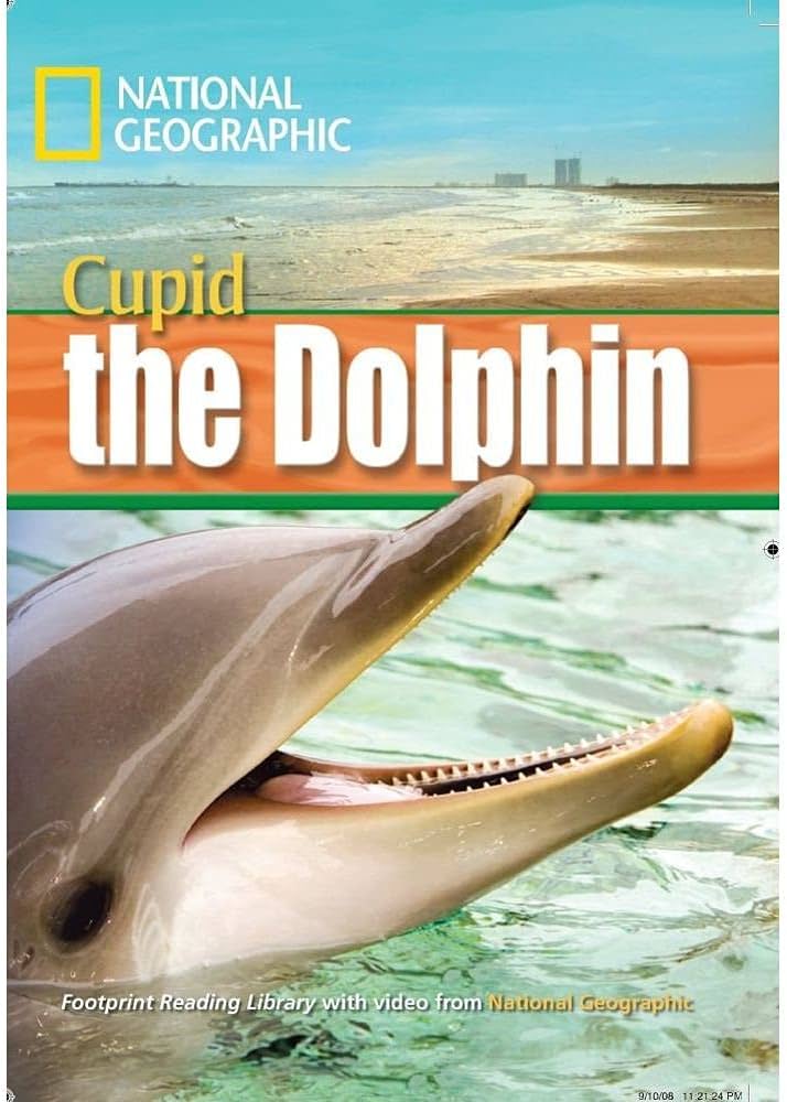 CUPID THE DOLPHIN (INTER) +DVD