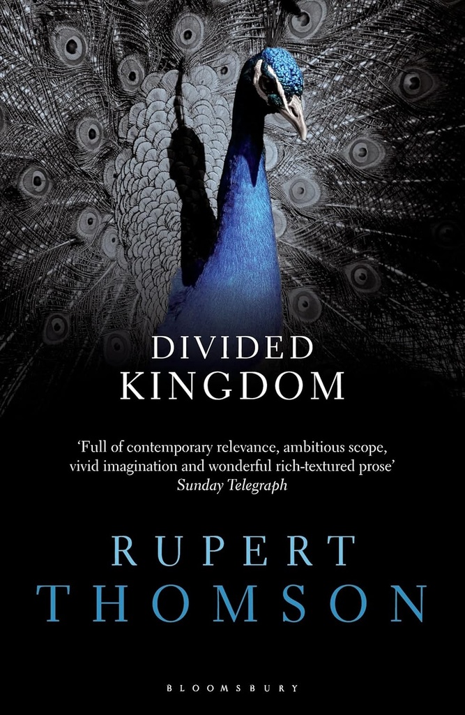 DIVIDED KINGDOM (N.E)