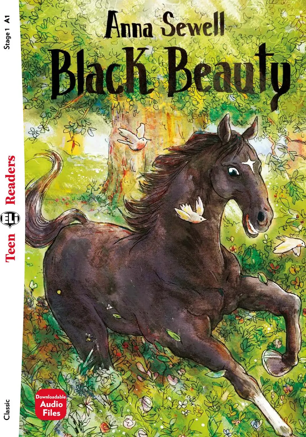 ELI TEEN : BLACK BEAUTY (STAGE 1) N.E