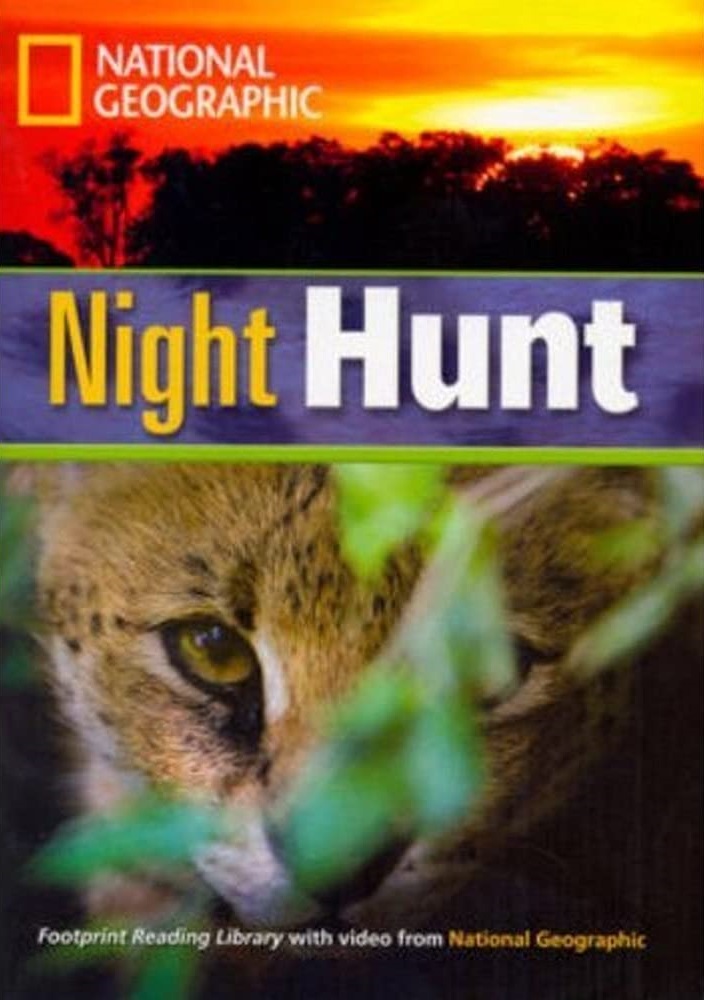 NIGHT HUNT (INTERMEDIATE)