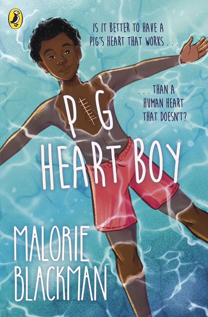 PIG HEART BOY