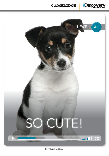 SO CUTE! (BEGINNING)+ ONLINE ACCESS