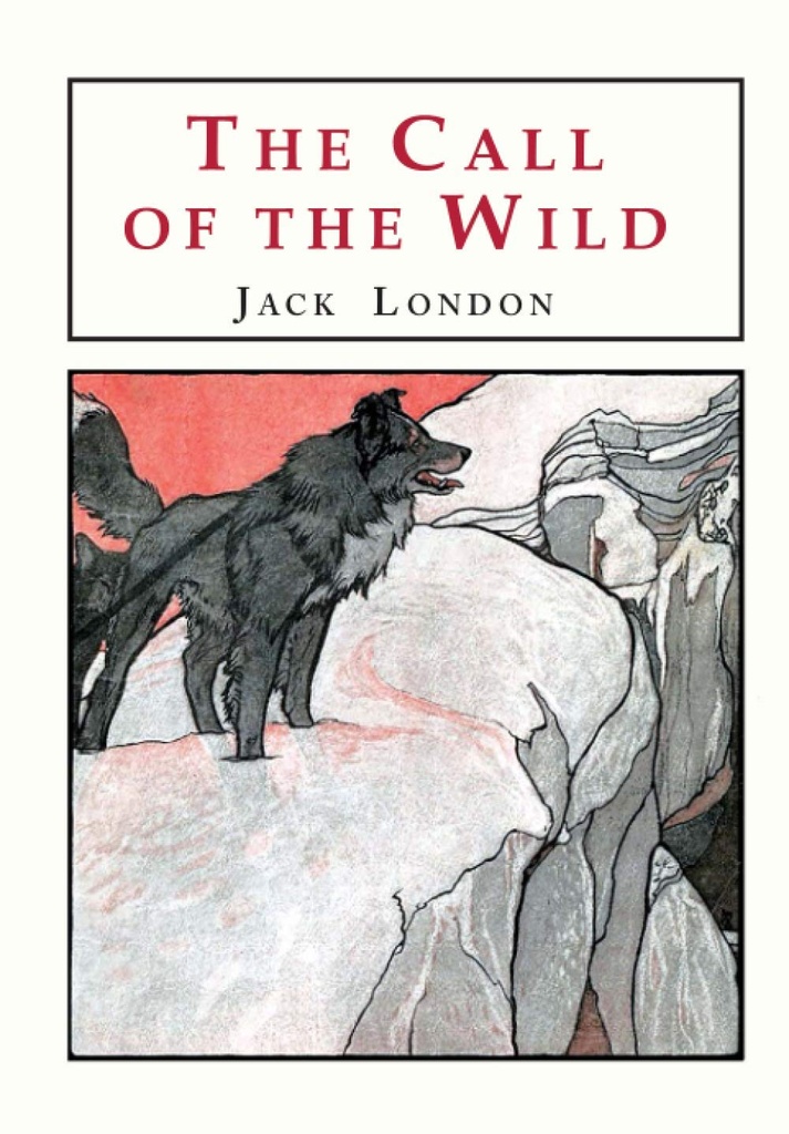 THE CALL OF THE WILD (CLASSICS)