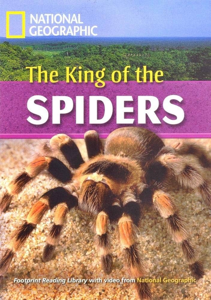 THE KING OF THE SPIDERS (ADVANCED)