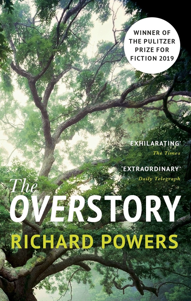 THE OVERSTORY
