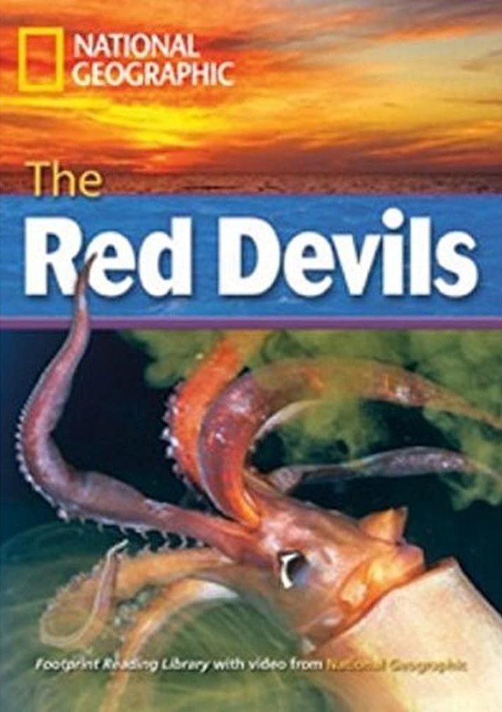 THE RED DEVILS (ADVANCED)+MULTI-ROM