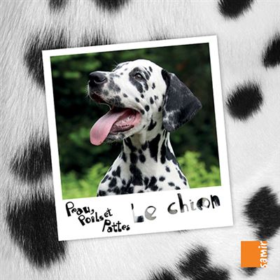 PEAU, POILS & PATTES LE CHIEN