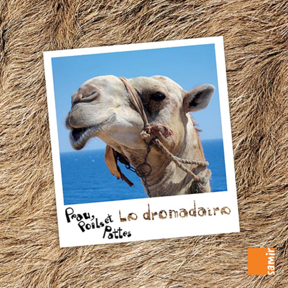 PEAU, POILS & PATTES LE DROMADAIRE