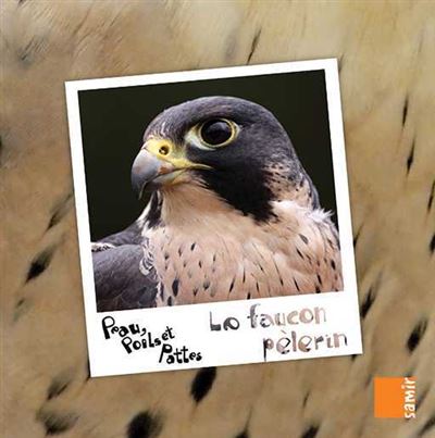 PEAU, POILS & PATTES LE FAUCON PÈLERIN