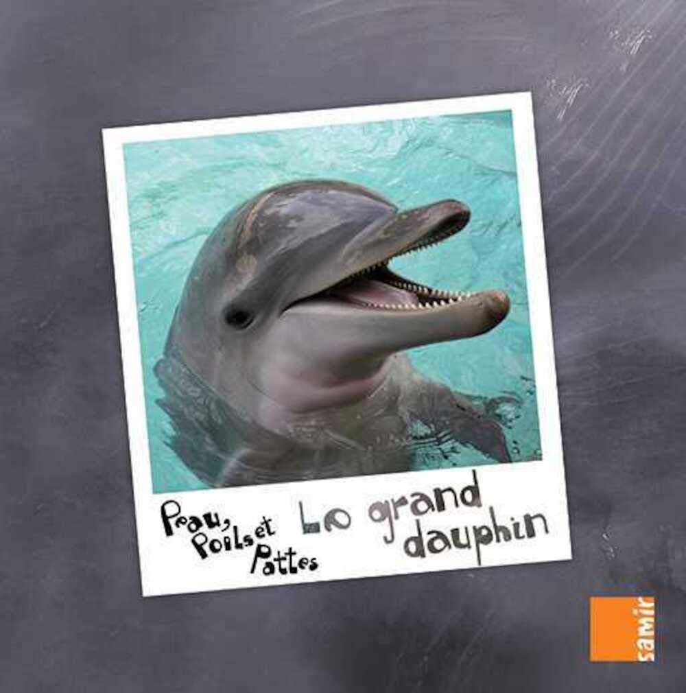PEAU, POILS & PATTES LE GRAND DAUPHIN