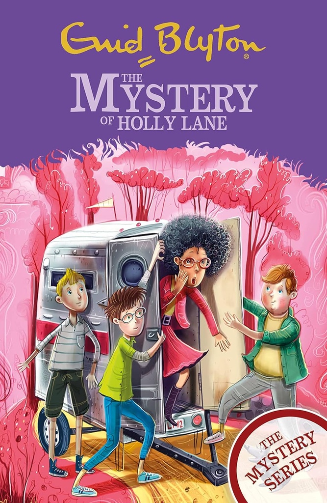 THE MYSTERY OF HOLLY LANE (THE MYSTERY SERIES BOOK 11)