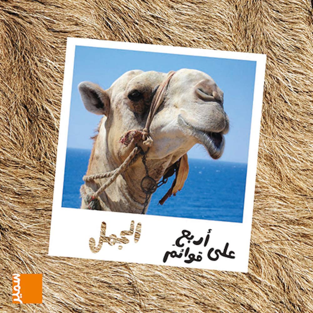 على اربع قوائم الجمل