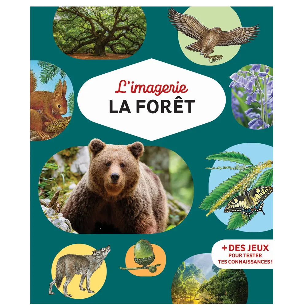 L'IMAGERIE DE LA FORÊT+ PAGES D'ACTIVITES