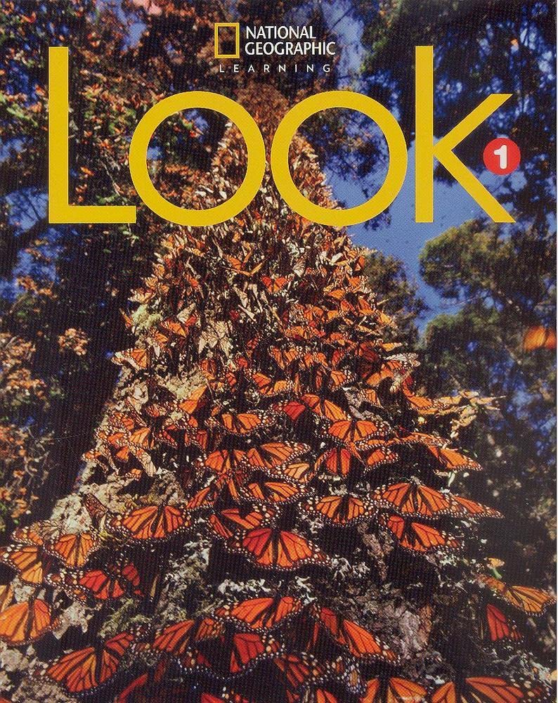LOOK 1 SBK