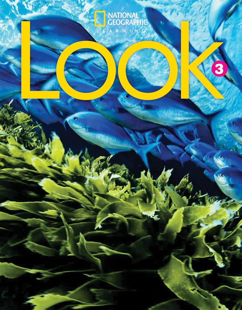 LOOK 3 SBK