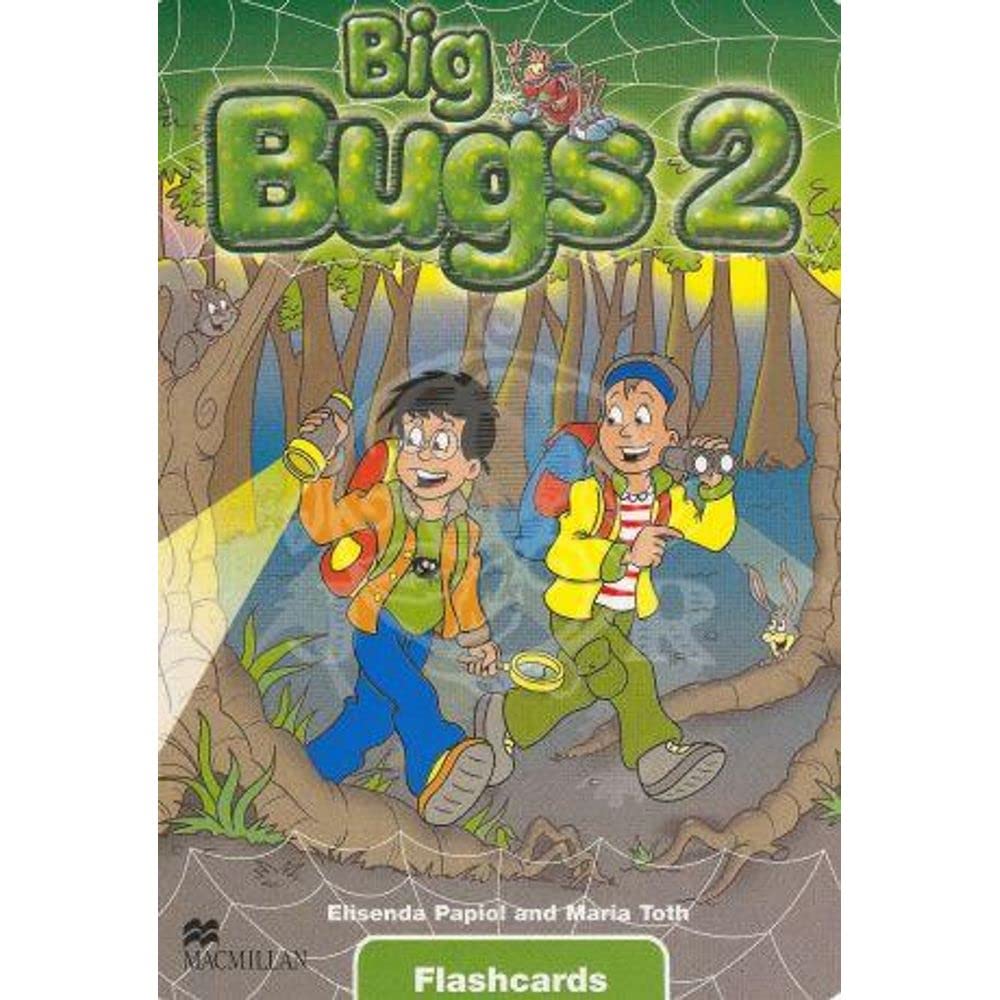 BIG BUGS 2 FLASHCARDS INTNL