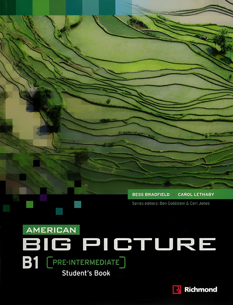 AMERICAN BIG PICTURE PRE-INTERMEDIATE (B1) SBK