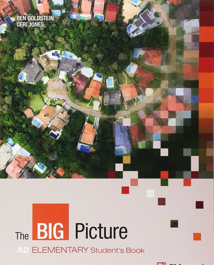 THE BIG PICTURE ELEMENTARY (A2) SBK (N.E)