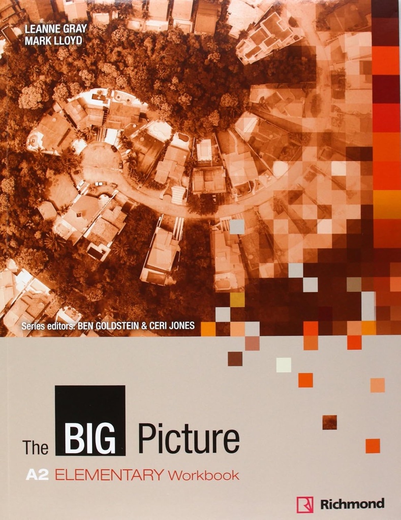 THE BIG PICTURE ELEMENTARY (A2) WBK+CD