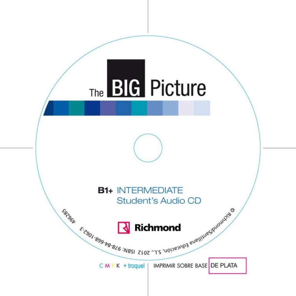 THE BIG PICTURE INTERMEDIATE (B1+) WBK+CD