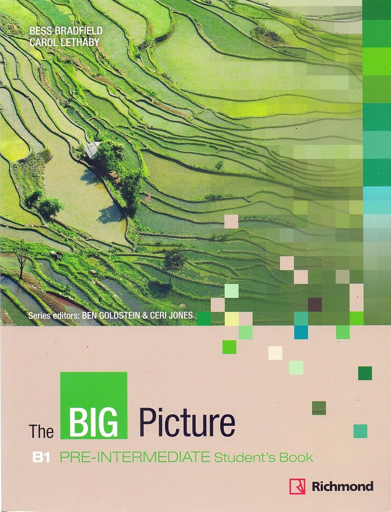 THE BIG PICTURE PRE-INTERMEDIATE (B1) SBK (N.E)