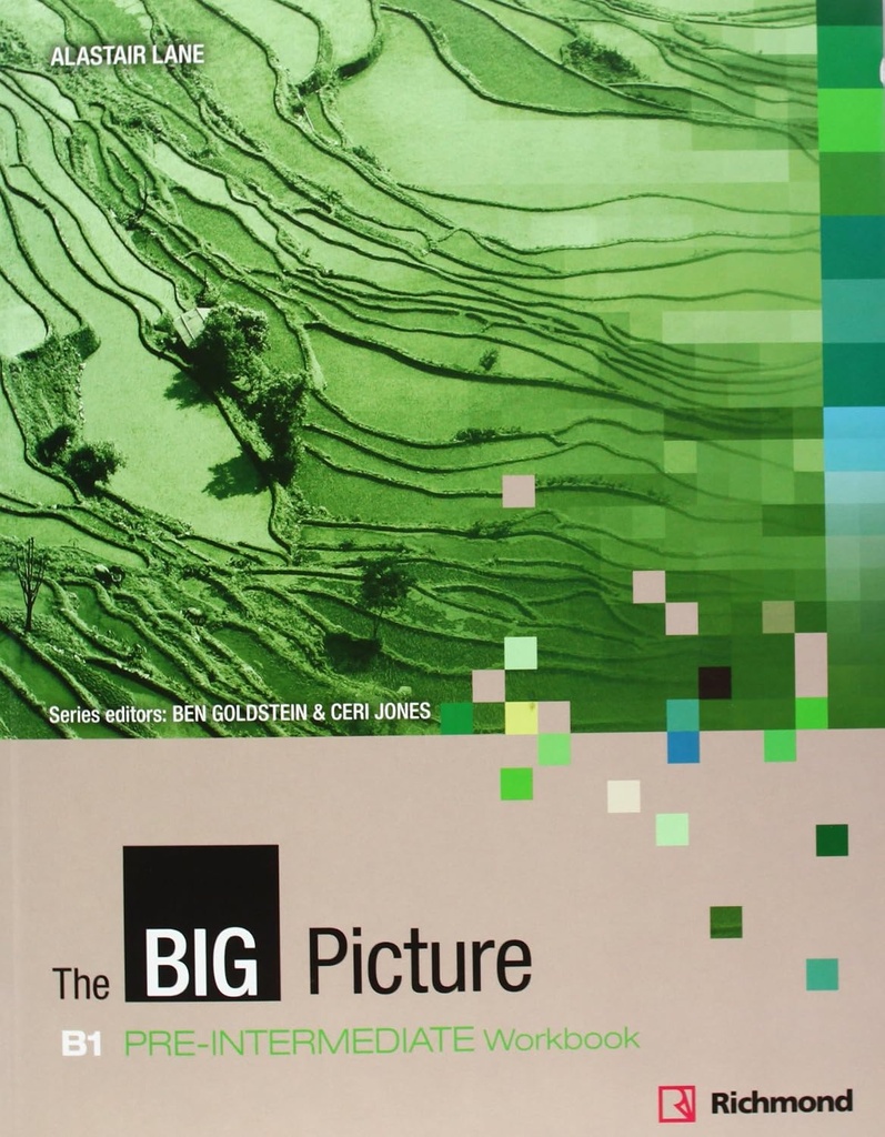 THE BIG PICTURE PRE-INTERMEDIATE (B1) WBK+CD