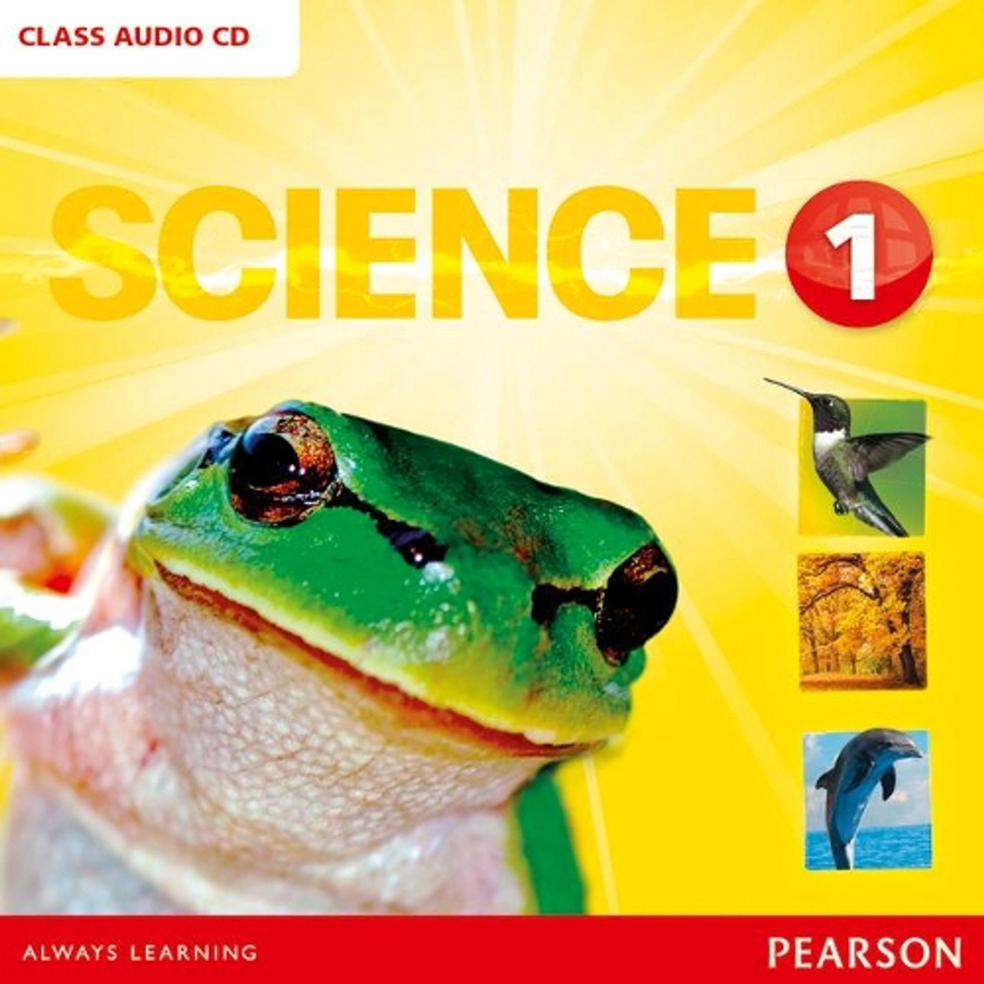 BIG SCIENCE 1 CLASS AUDIO CD