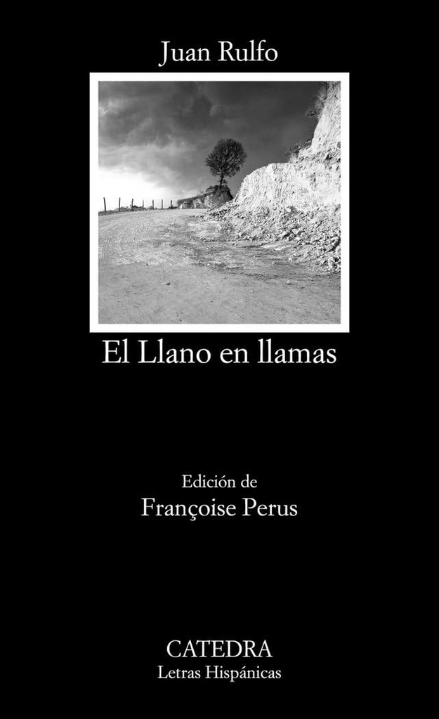 EL LLANO EN LLAMAS (SPANISH EDITION)