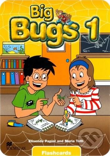 BIG BUGS 1 FLASHCARDS