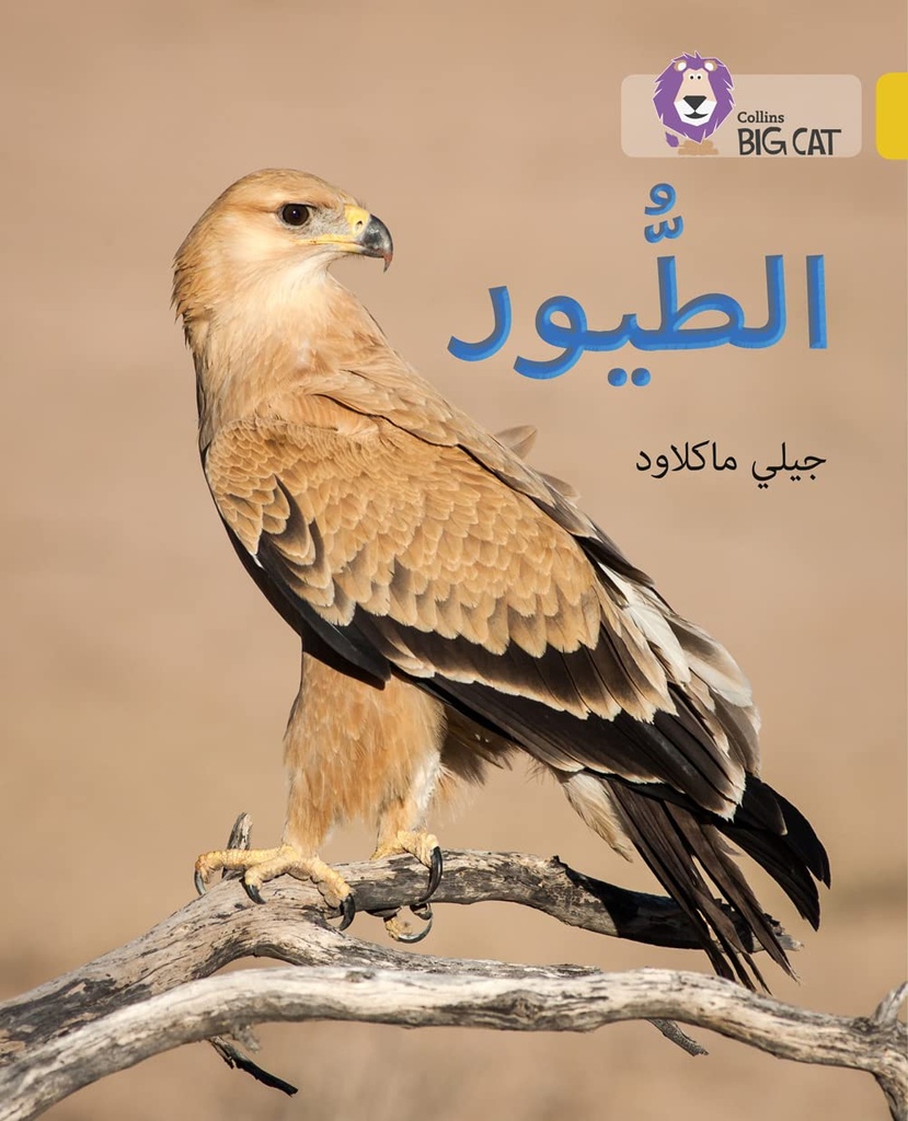 COLLINS BIG CAT ARABIC : BIRDS (LEVEL 9) الطيور