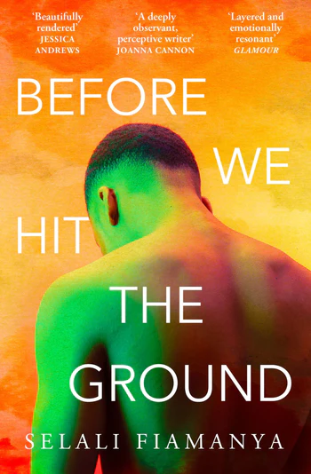 Before We Hit The Ground (Paperback)