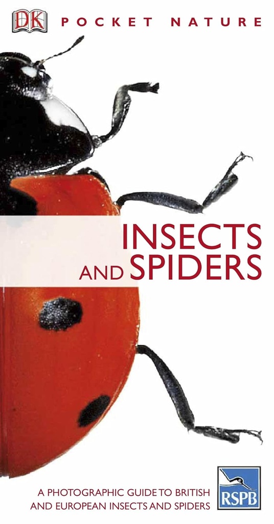 INSECTS & SPIDERS