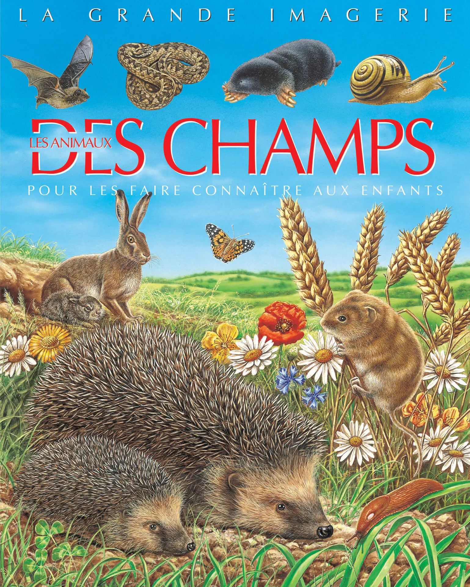 LA GRANDE IMAGERIE: LES ANIMAUX DES CHAMPS