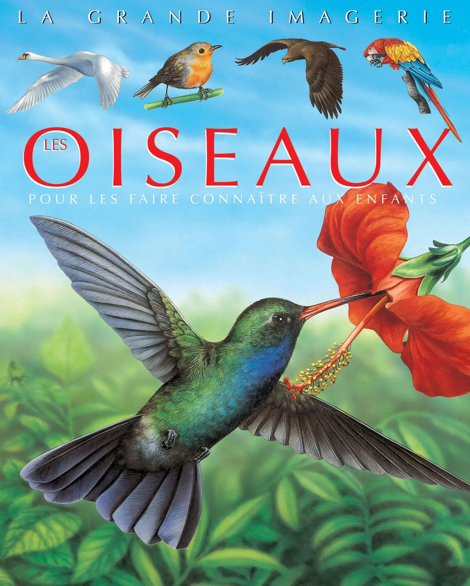 LA GRANDE IMAGERIE: LES OISEAUX