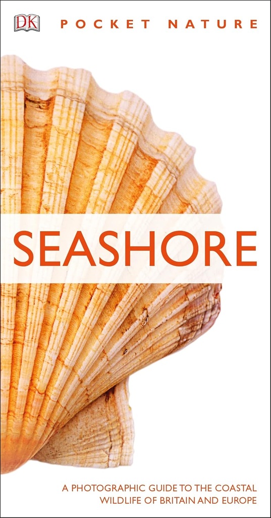 SEASHORE