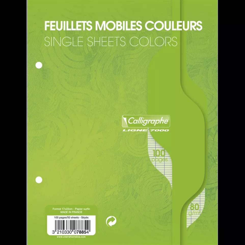 FEUILLETS MOBILES VERT 17*22 100P SEYÈS 80G