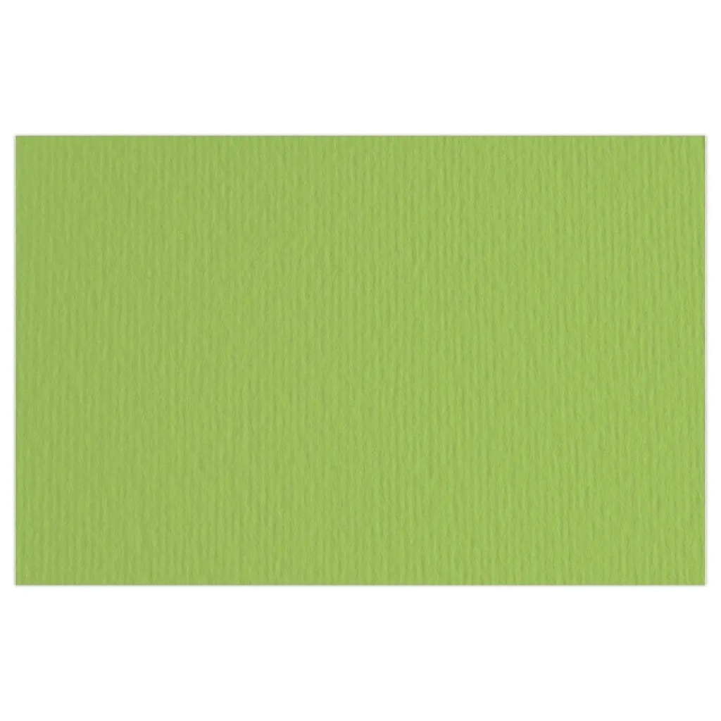 PAPIER DESSIN 50*70 BLISTER 220G VERT PISTACHE FABRIANO