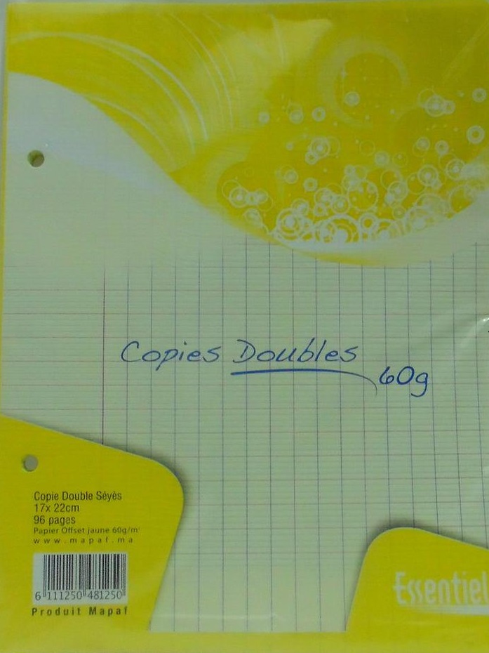 RECHARGE DOUBLE FEUILLE 80P SEYES 17*22 ESSENTIEL