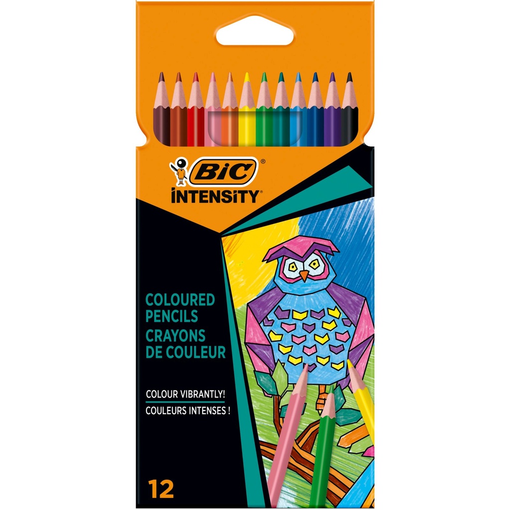CRAYONS COULEUR TRIANGULAIRES BIC BTE 12