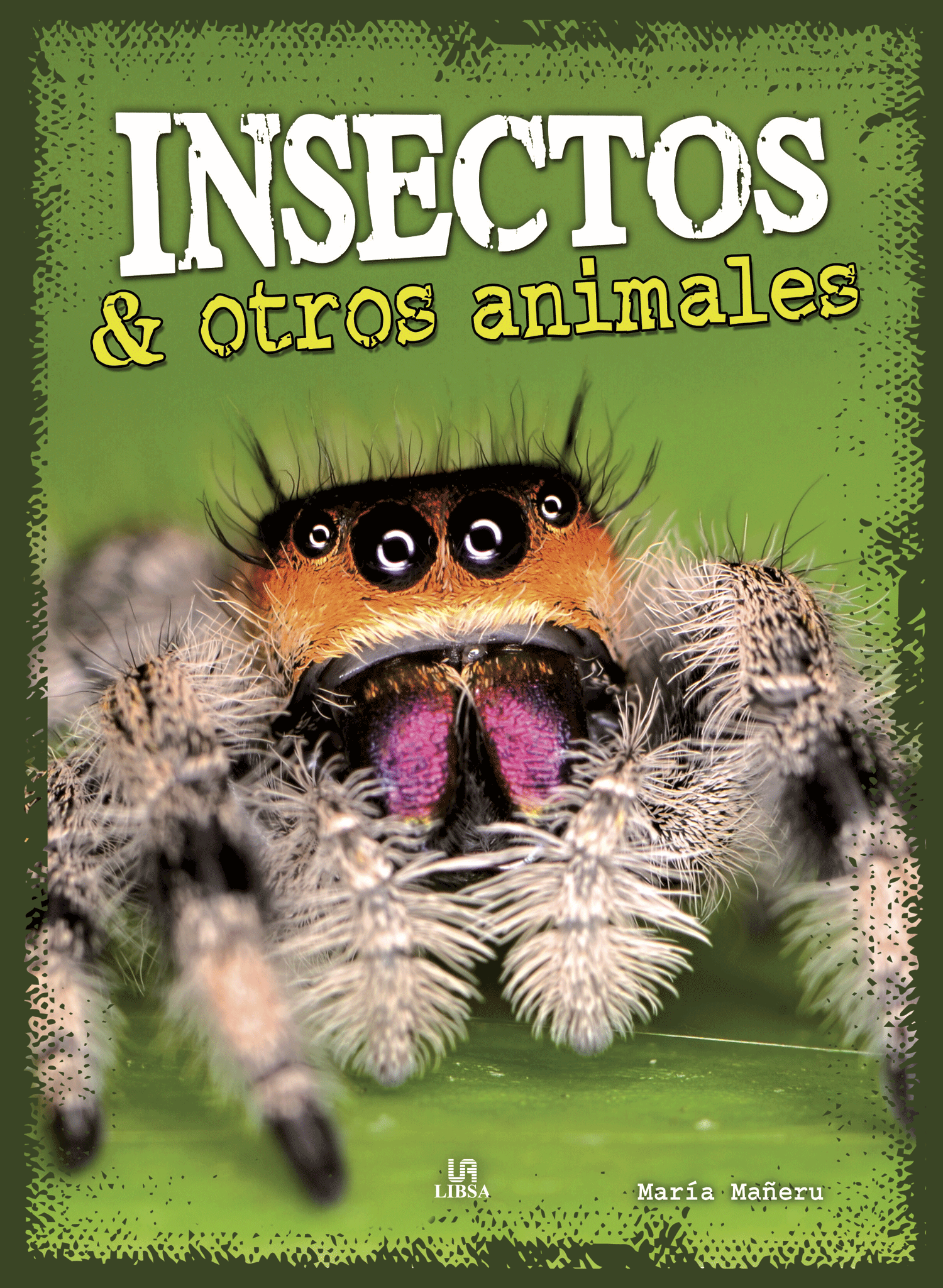 INSECTOS Y OTROS ANIMALES