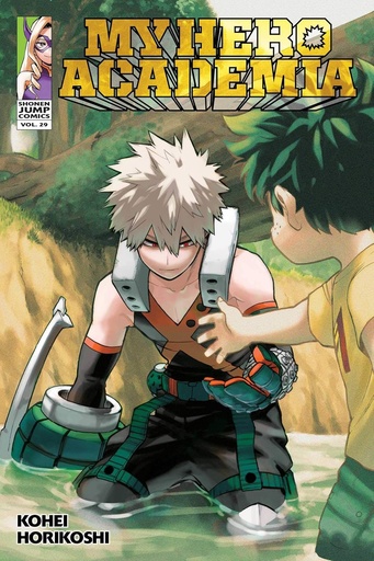 [9781974725106] MY HERO ACADEMIA VOL 29