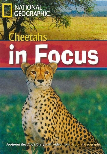 [9781424045938] CHEETAHS IN FOCUS (UPPER-INTER) (A.E)