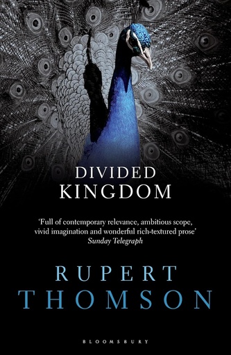 [9781408833124] DIVIDED KINGDOM (N.E)