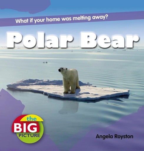 [9781408131558] POLAR BEAR : WHAT IF YOUR HOME WAS MELTING AWAY? (THE BIG PICTURE)