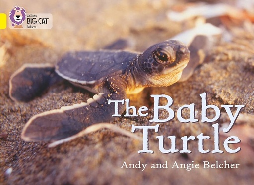 [9780007186594] THE BABY TURTLE