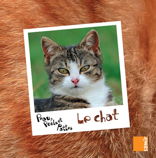 [9789953313153] PEAU, POILS & PATTES LE CHAT