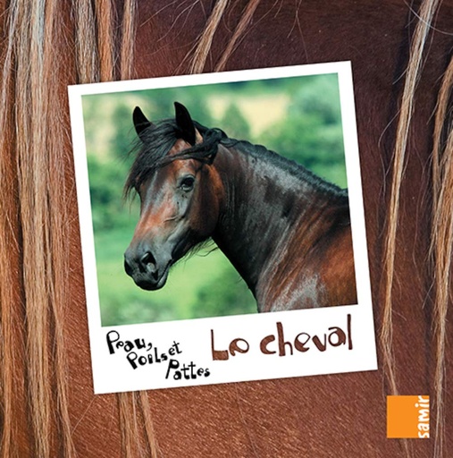 [9789953313146] PEAU, POILS & PATTES LE CHEVAL