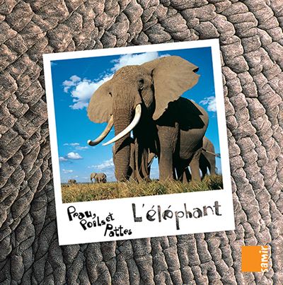 [9789953312446] PEAU, POILS & PATTES L'ELEPHANT